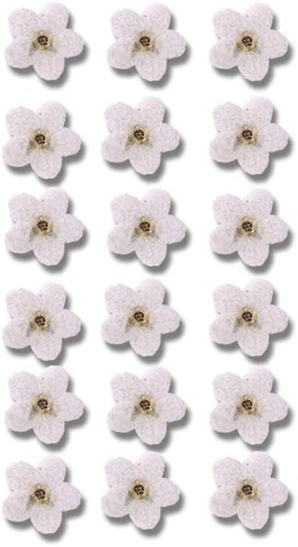 20Pcs White Forget Me Not Flowers Myosostis Sylvatica Dried Pressed Flowers for Resin,Candle,Epoxy Resin,Soap Making,Scrapbooking,DIY Art Juroicessry