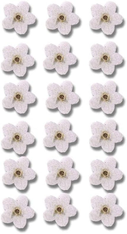 20Pcs White Forget Me Not Flowers Myosostis Sylvatica Dried Pressed Flowers for Resin,Candle,Epoxy Resin,Soap Making,Scrapbooking,DIY Art - WoodArtSupply