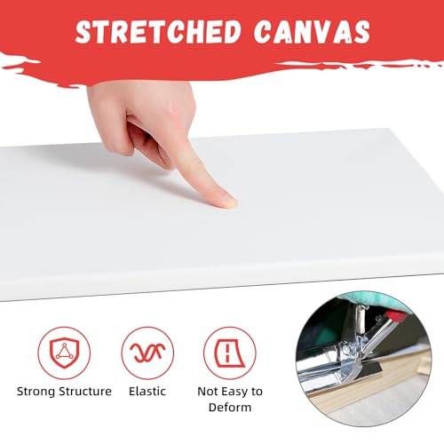 8x10 Inch Stretched Canvas, 10 Pack 100% Cotton Professional Blank Canvas, Canvases for Painting Using Acrylic Paint or Oil (Pre-Primed) - WoodArtSupply