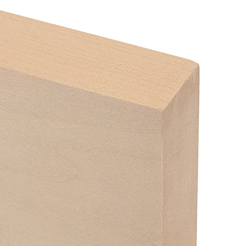 LEXININ 20 PCS 4 x 4 x 1 Inch Square Wood Carving Blocks, Unfinished Basswood Blocks, Blank Natural Wooden Blocks for Crafts, DIY Projects, Carving - WoodArtSupply