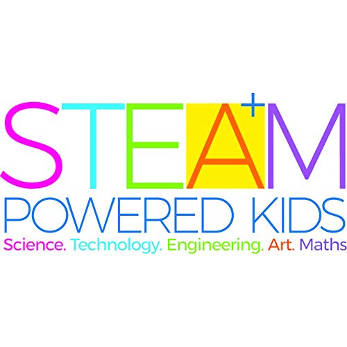 4M Green Creativity Pressed Flower Art Kit, Recycle Flowers Art & Crafts DIY Kit, For Boys & Girls Ages 5+ 4M