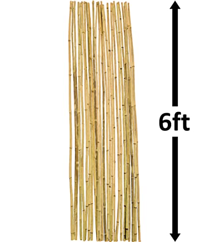 Dlh Western Natural Bamboo Poles, Eco-Friendly Plant Support Garden Stakes 6ft Long, Diameter of 5/8" (25-Count) Dlh Western