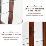 Dolonm Curio Cabinet with Tempered Glass Doors, Curio Cabinets with Mirrored Back Panel and Adjustable Shelves, Lighted Display Cabinet for Home, Dolonm