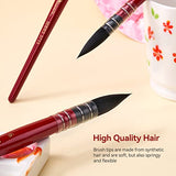 Lightwish Watercolor Brushes Set, Synthetic Squirrel Hair Paint Brushes kit for Artists, Adults, and Hobbists, Pointed Round Mop Brush for LIGHTWISH