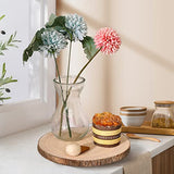 FORACKS Natural Round Wood Slices 6 Pack 8-9 inches Unfinished Wood kit Circles DIY Crafts Wood Ornament Discs FORACKS