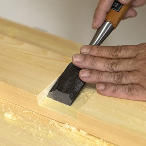 RANSHOU Japanese Chisel 18mm 3/4" Mortise Chisel Oire Nomi, Professional Wood Chisel for Woodworking, Japanese Red Oak Handle, Made in JAPAN RANSHOU