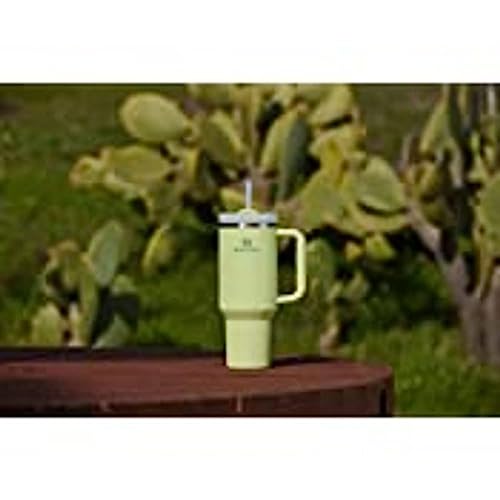 Stanley Quencher H2.0 FlowState Stainless Steel Vacuum Insulated Tumbler with Lid and Straw for Water, Iced Tea or Coffee, Smoothie and More, Citron, STANLEY