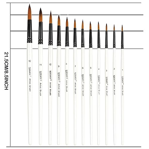 Dainayw 12 PCS Round Paint Brushes Set, Artist Brush for Acrylic Watercolor Oil Painting, Face Body Nail Art, Crafts, Canvas, Rock, Miniature Model & dainayw