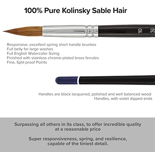 Rhapsody Kolinsky Watercolor Brush Set of 5, Various Watercolor Brush Sizes Creative Mark
