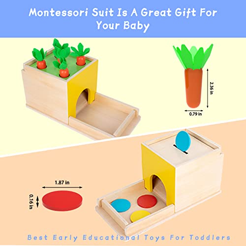 Adena Montessori 5 in 1 Object Permanence Box Toddler Play Kit Toys for 1 Year Old Babies 6-12 Months 2 Year Old Adena Montessori