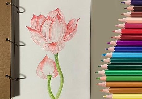 SKKSTATIONERY 50Pcs Colored Pencils,50 Vibrant Colors, Drawing Pencils for Sketch, Arts, Coloring Books, Christmas Halloween Gifts SKKSTATIONERY