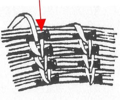 Traditional Craft Kits Coil Basket Kit - Pine Needle - Basket Weaving Kit Set with Supplies, Complete with Instructional Booklets and Basket Making Traditional Craft Kits
