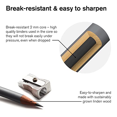 Winsor & Newton Studio Collection Artist Pencils, Graphite Pencils, Set of 12 Winsor & Newton