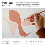 ARTIFY 41 Pieces Long Handle Paint Brushes, Expert Series, Hog Bristle, Horse Hair and Nylon Hairs Art Set Includes a Carrying Canvas Roll, for ARTIFY art supplies