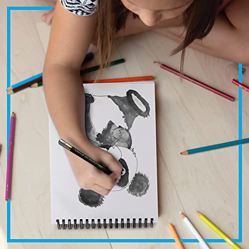 Bellofy Artist Drawing Set Sketching Drawing Kit -100 Sheet Sketchbook - Variety of Sketch/Charcoal Pencils Set for Drawing - Shading Pencils For Bellofy