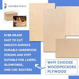Baltic Birch Plywood, 6 mm 1/4 x 12 x 12 Inch Craft Wood, Box of 12 B/BB Grade Baltic Birch Sheets, Perfect for Laser, CNC Cutting and Wood Burning, Woodpeckers