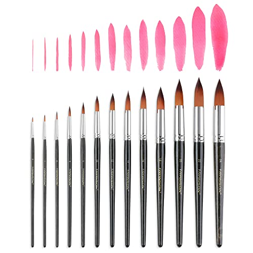 Transon 13pcs Round Paint Brush Set Synthetic Bristle Complete Round Brush Set for Watercolor Acrylic Gouache Ink Tempera TRANSON