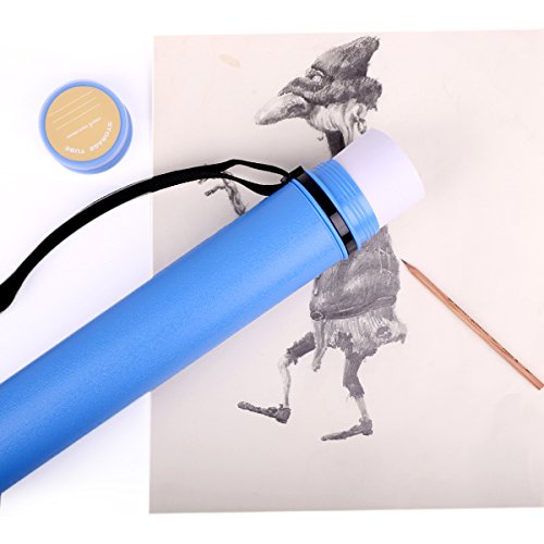 TRANSON Poster Tube Storage Extendable for Posters, Blueprints, Map and Scrolls Color Blue TRANSON