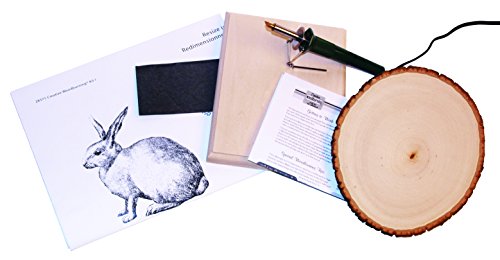 Walnut Hollow Creative Woodburning (Pyrography) Kit for the Beginner in Arts, Crafts & Hobby - WoodArtSupply