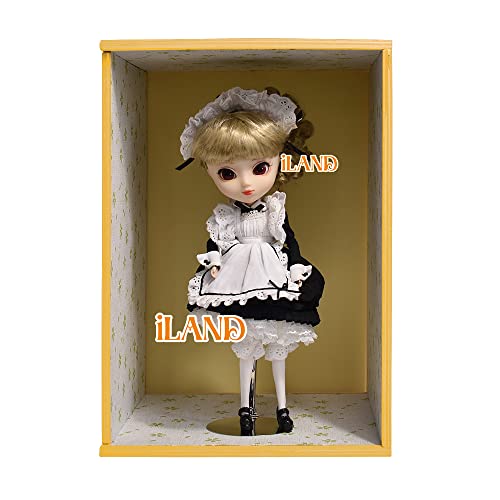 iLAND Dollhouse Display Box, Unfinished Wood Shadow Box, Quick-Build Display Case with Transparent Front 15.7“ x 11” x 11“ Suitable for Lego & 1/12 iland