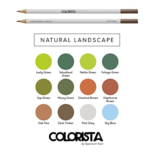 Spectrum Noir Noir Color Colorista Coloured Pencils-Pack of 12-Natural Landscape, One Size, Multicolour - WoodArtSupply