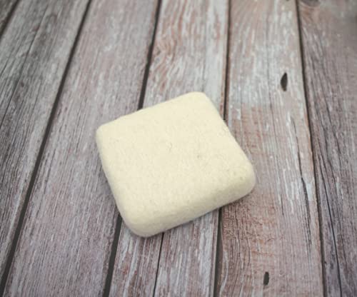 Woolbuddy Needle Felting Kit, 4 Felted Dinosaurs, Felted Animals, Felting Kit for Beginners Adult and Kids, Felting Supplies Included Felting Wool, Woolbuddy