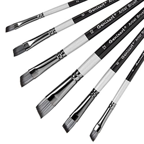 Angular Paint Brushes Set, 6 Pcs Angled Paintbrushes for Acrylic Oil Watercolor Gouache Painting, Premium Nylon Hair Angle Shader Brush for Art - WoodArtSupply