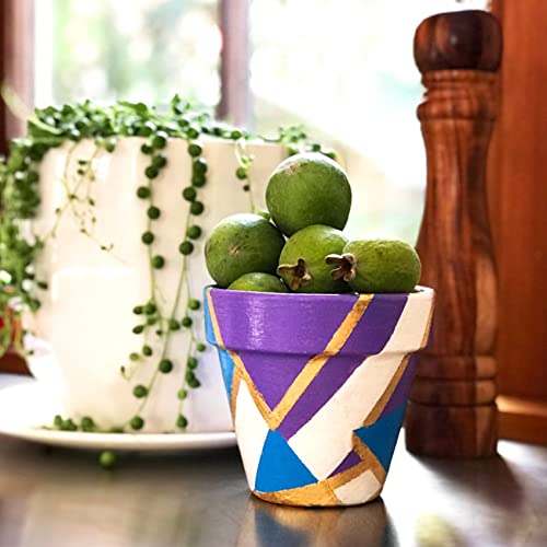 Gilding Adhesive, 50ml 3 Bottles for Gold Leaf Epoxy Resin Water Based Glue（Brush + Gloves as Gift) KIRIN