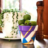 Gilding Adhesive, 50ml 3 Bottles for Gold Leaf Epoxy Resin Water Based Glue（Brush + Gloves as Gift) KIRIN