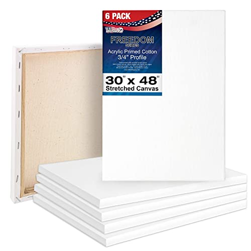 U.S. Art Supply 30 x 48 inch Stretched Canvas 12-Ounce Triple Primed, 6-Pack - Professional Artist Quality White Blank 3/4" Profile, 100% Cotton, U.S. Art Supply