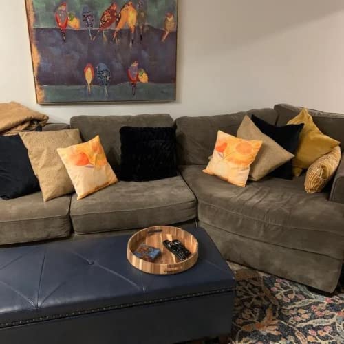 Pack of 5-1" Thick, 15" Wood Rounds for Crafts, Unfinished Wood Sign, 15 inch Wood Round, 15 inch Round Wood Circle, 15 inch Wood Circle MMOBILITY