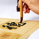 DIUDIU CAT Chinese Brush,Chinese Art Brush Set,Kanji Japanese Sumi for Writing Drawing, One Set of 10 Brushes (with Brush Bag) DIUDIU CAT