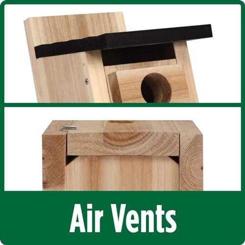 Wild Wings WWCH3 Cedar Blue Bird Box House