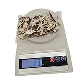 Gadpiparty 50pcs Shaped Sea Decorations Projects Animals Whale Seahorse Wedding Ornaments Blank Paint Octopus Wood Dolphin Wooden Ocean Unfinished Gadpiparty