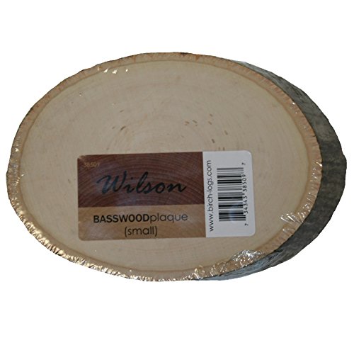 Wilson 5"-7" Basswood Round/Oval, 5/8" Thick Wood Slice for Natural Décor, DIY Crafts (Small, 1 Piece) - WoodArtSupply