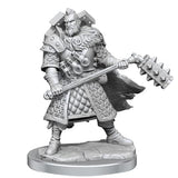 D&D Frameworks: Human Fighter Male - Unpainted and Unassembled WizKids