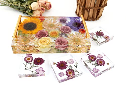 13.5" Rectangular x 2" Deep Large Tray Mold and 4 Deep Resin Coaster Molds and 3 Pairs Gold Handles, Silicone Tray Board Table Clock Mold for Epoxy ModWgGuo