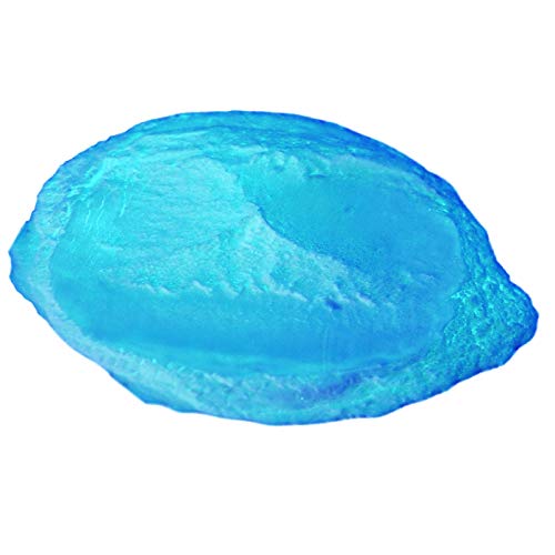 Stone Coat Countertops Blue Glow Metallic Powder (PolyColor) - Glow in the Dark Mica Powder for Epoxy Resin Kits, Casting Resin, Tumblers, Jewelry, - WoodArtSupply