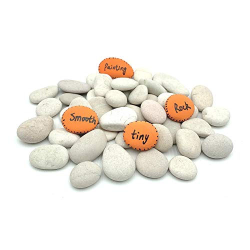 lifetop 50pcs Tiny White Painting Rocks DIY Rocks for Painting Detail-Painting Smooth Surface Stones,Arts and Crafts ，0.7 to 1.0 inches ，So Small
