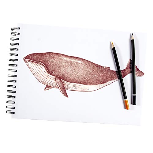 Sketch Pad 9"x12", 2 Pack, 100 GSM, 100 Sheets Perforated (Pack of 2 - Jumbo Sketchbook Pads 9" x 12") ARTISTIK