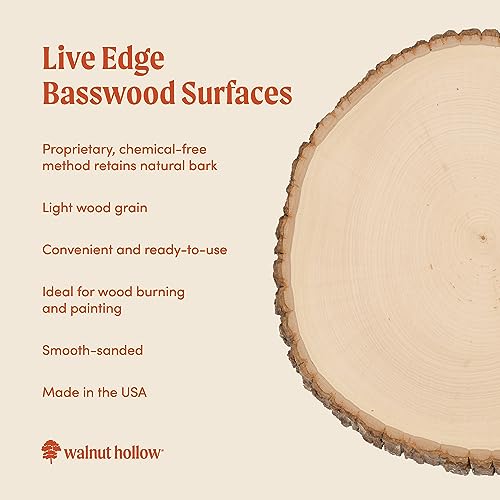 Walnut Hollow Basswood Plank Medium with Live Edge Wood (Pack of 1) - For Wood Burning, Home Décor, and Rustic Weddings
