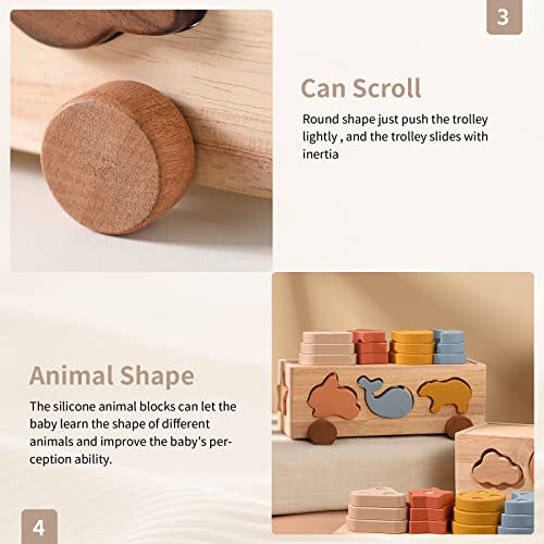 Samonyed Shape Sorter Toys for Toddlers 1-3 Montessori Stack Toy Car for 1 Year OldBaby Blocks Sorting Wooden&Silicone Educational Car Stacking Toys Samonyed