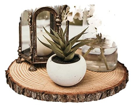 Set of (10) 11-12 inch Wood Slices for centerpieces! Wood Slice centerpieces, Wood Rounds, Tree Slices (11 inch) Rustic Wood Slices Inc.