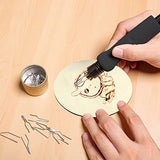U.S. SOLID Wood Burning Kit Tool Station Dual Pyrography Pen Burner for Adults 2-in-1 Solid-Point 200℃~480℃ w/Temp Display and Wire-Nib 250℃~750℃with U.S. Solid