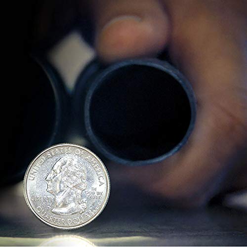 WORKSHOP Wet/Dry Vacs Vacuum Accessories WS12510A 1-1/4-Inch Wet/Dry Vac Floor Brush Attachment & Nozzle For Wet/Dry Shop Vacuums, Black WORKSHOP Wet/Dry Vacs