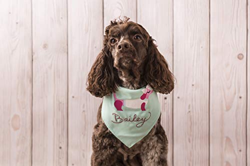 Cricut Foil Iron-On, Sampler, Sequin Cricut