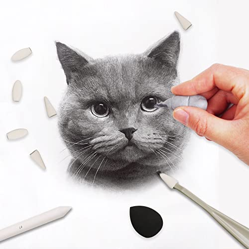 HIFORNY 38 PCS Sketch Drawing Tools - Blending Stumps and Tortillions Set Blending Tools with Art Sketch Wipe Scrapers,Rub Sponge,Kneaded Eraser and HIFORNY