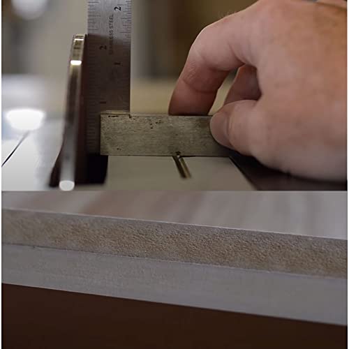 EMILYPRO Table Saw Balance Blade & 10" Sanding Disk & Calibration with 5/8" Arbor - 1pcs EMILYPRO