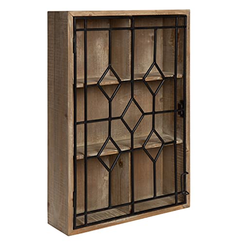 Kate and Laurel Megara Decorative Wooden Wall Hanging Curio Cabinet for Open Storage with Decorative Black Iron Door, Rustic Brown - WoodArtSupply