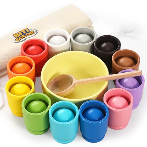 Ball in Cup Montessori Toy Wooden Rainbow Color Sorting Toy for Toddlers Preschool Color Matching Toy - 12 Ball 40mm